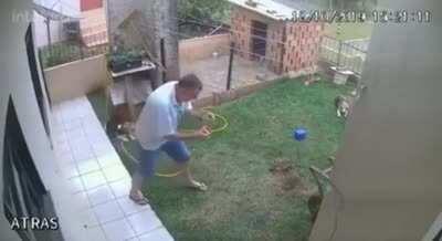 Trying to gas some ants