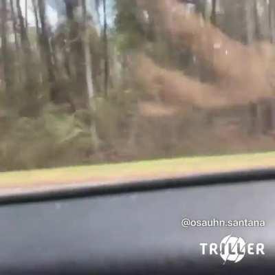 Who tf keep lettin this fuck nigga in the studio?? 😭 nigga needa be banned for life 💯💀