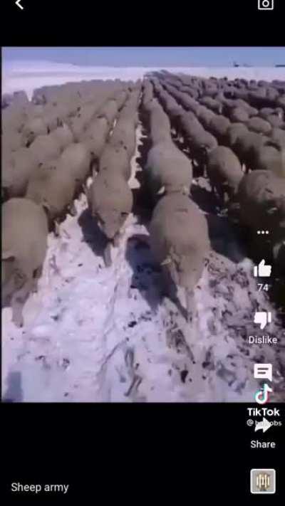 Welsh Army💪🏼💪🏼🏴󠁧󠁢󠁷󠁬󠁳󠁿😎