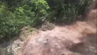 Sudden nature attack