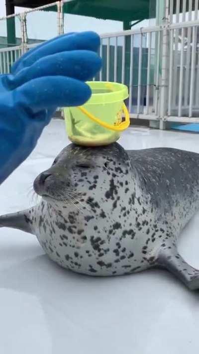 Balancing @aguhiyori