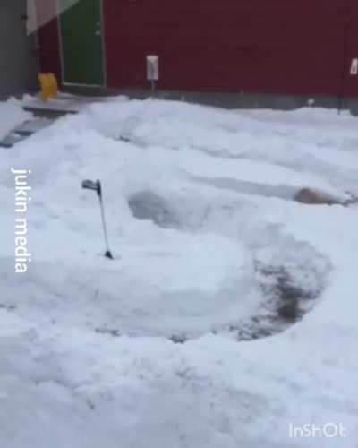 His human built him a backyard obstacle course made out of snow