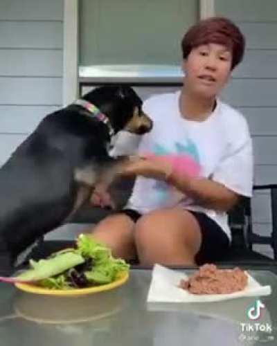 Jaja el perro como estás loca yo si trago carne