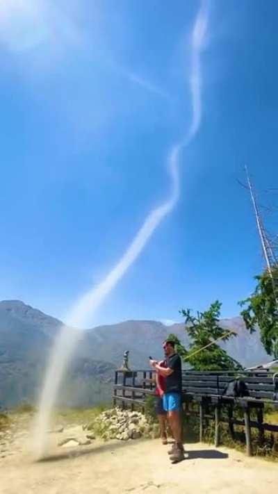 Ancestor manifestation that helps with cultivation up for auction, starting price 500 Chi stones