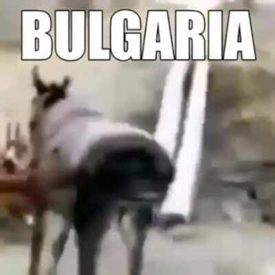 How bulgarian donkeys dance