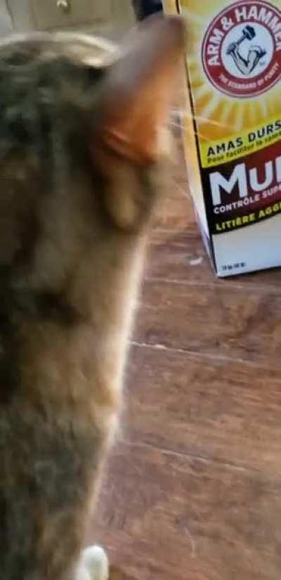 Every day when I get home from work she yells at me for being gone too long