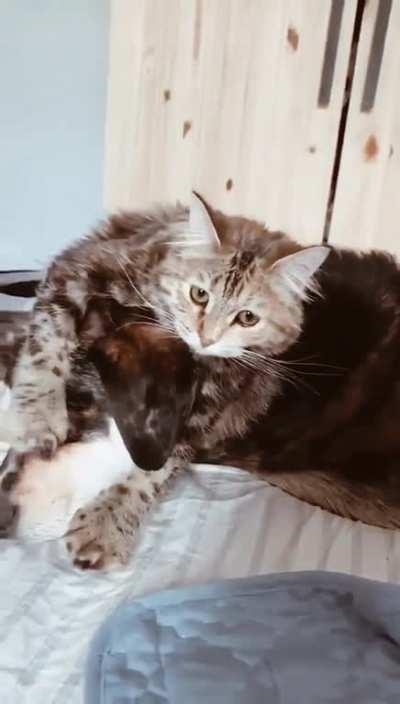 It's the legs for me