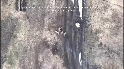 RU pov: Accurate drone dropped munition hits a group of UA soldiers trying to evacuate a wounded UA soldier. 4 UA soldiers seem to have been hit and wounded. Svatovsky direction