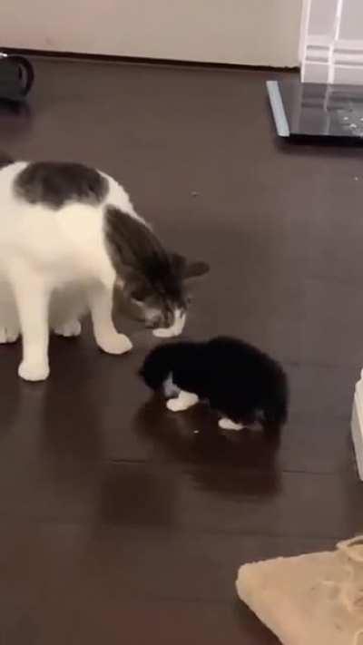 My heart wasn't ready.