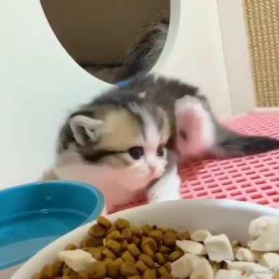 Still learning to scratch