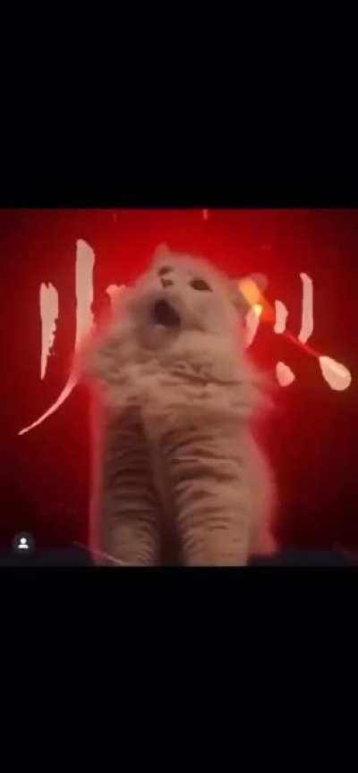 Not mine but thought it belonged here. @bltw.mp4