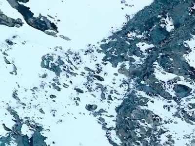 Snow leapard jumps off cliff into free fall to catch prey