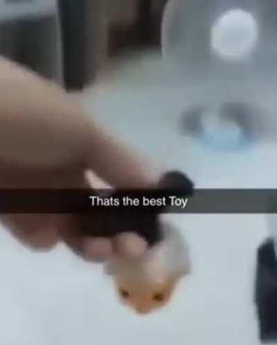 best toy