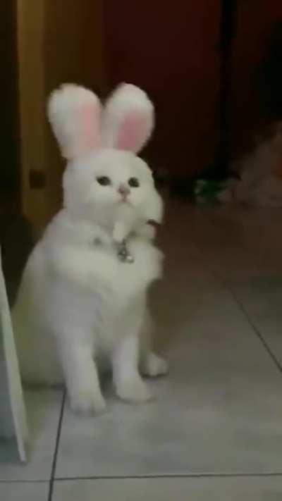 One of the funnier ones i've seen recently