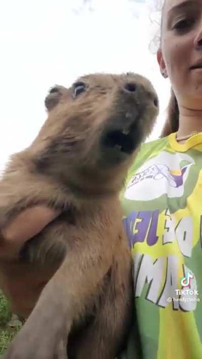 He is speaking fax 💯