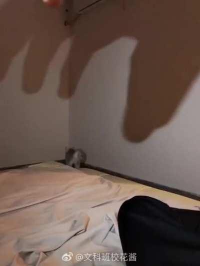 SHADOW MONSTER!