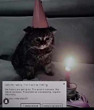 I think this fits here idk why