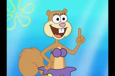 The Way of the Sponge