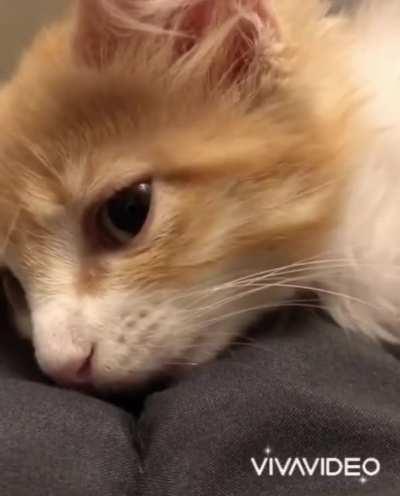 Had to share 😍 via @agentshawnee tik tok