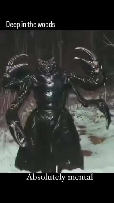 Deep in the woods of Nope.