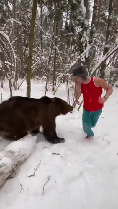 Bear Games