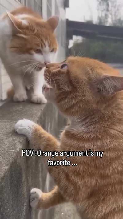 Absolute Cinema 🎥