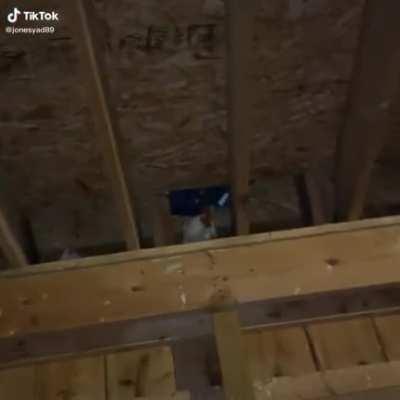 Its not delivery, it’s Digiorno