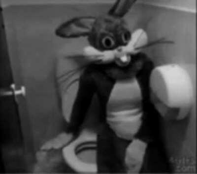 cursed_bunny