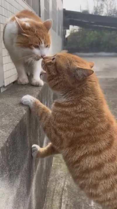 Legend says it's been going on even until today.