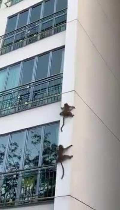 Life is so simple, don't complicate it...