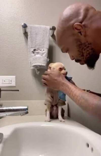 Dads after getting a pet they didn't want: