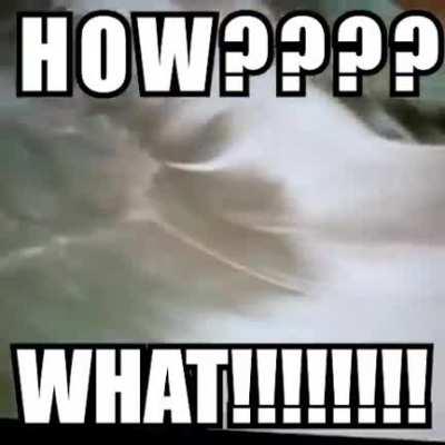 Theres this legend and then theres tony hawk below him.