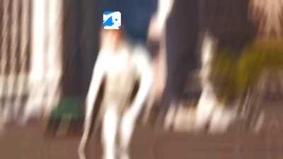 Snotty boy but r/animepiracy