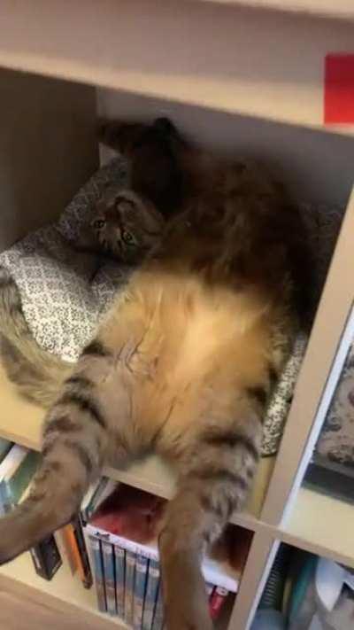 Watcha doin’ there?