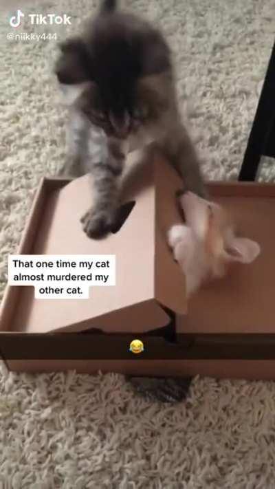 A new tipe of guillotine?