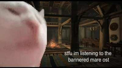 stfu im listening to the bannered mare ost by jeremy soule