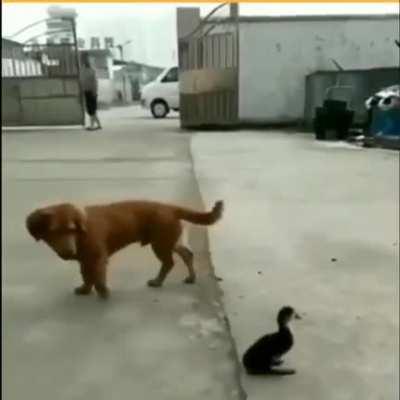 What’s that hanging worm