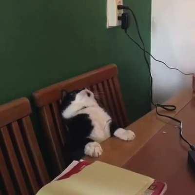 Алкоголизм?