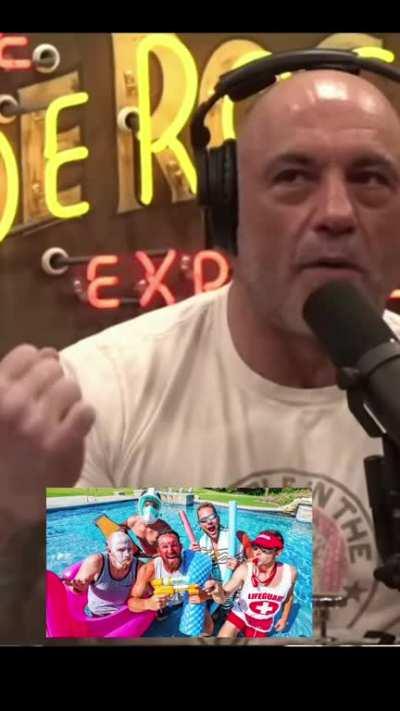 joe rogan talks shit about death grips to anthony fantano (ai)