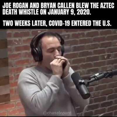 Blame Joe Rogan