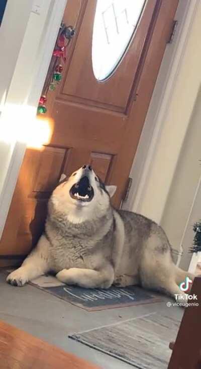 he screm