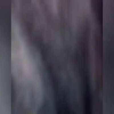 Kicking A Grizzley In The ASS. Darwin Award