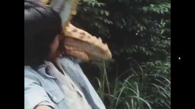 Say Hello To 'Starfish Hitler', The Weirdest Japanese TV Supervillain Of The 1970s (Context in comments)