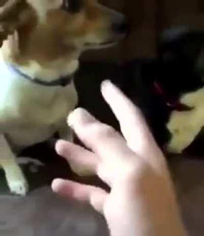 blursed_hando