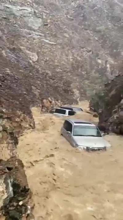 Toyota River Cruiser