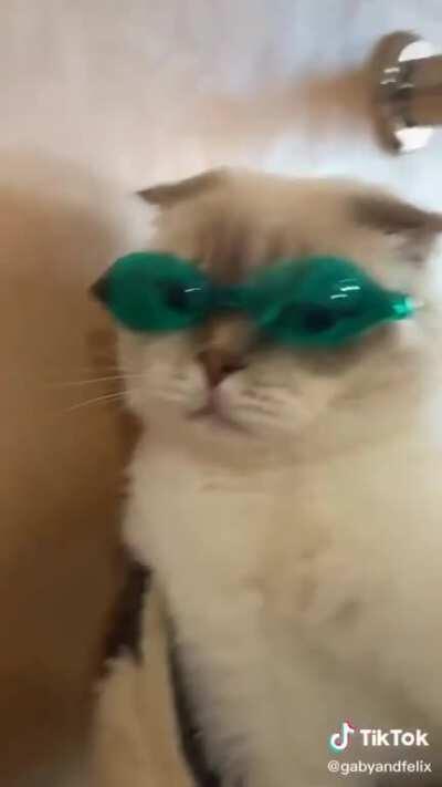 Classy, bougie, ratchet