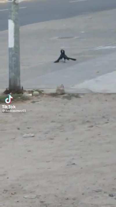 Someone should brake that up