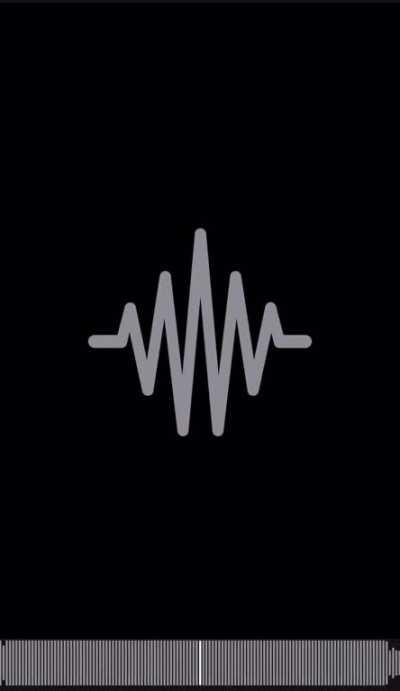 Ldr snippet (alleged)