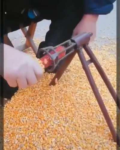Corn kernel removal