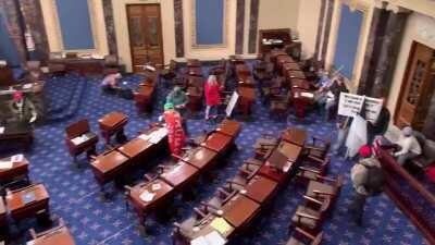 Trump supporters-seditionists on the Senate floor